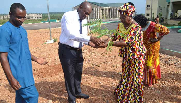 AE-FUNAI tree planting