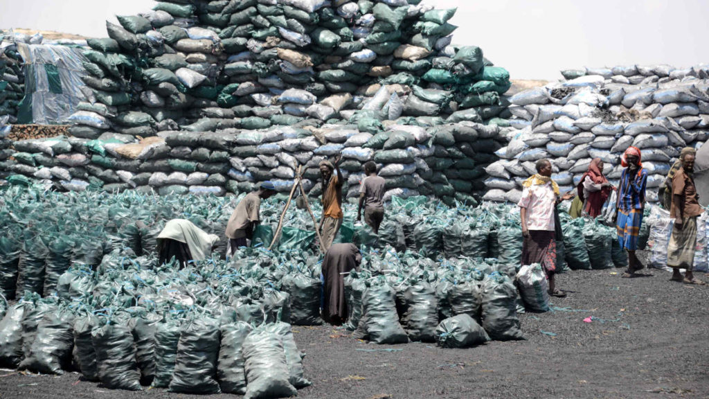 Somalia charcoal trade