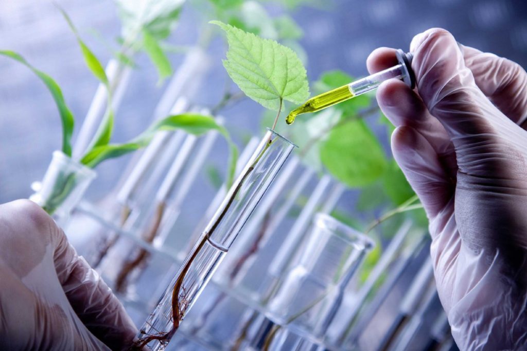 agricultural biotechnology