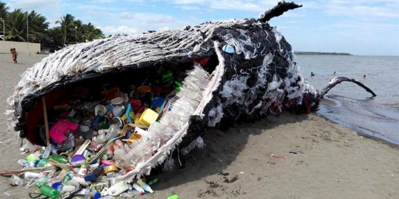 Plastic pollution