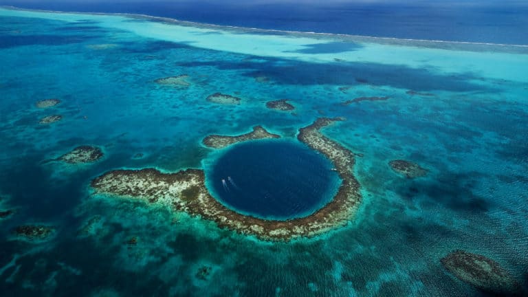 Second largest reef on Earth off ‘danger list’