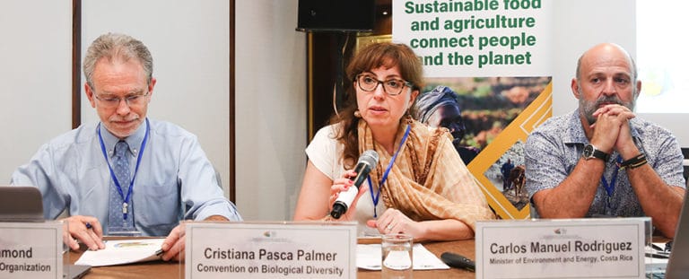 Agricultural production, biodiversity protection key to 2030 Agenda attainment