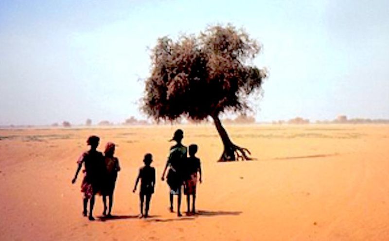 Desertification