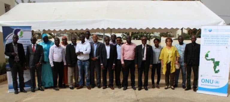 Abidjan Convention builds GIS technicians’ capacity on database management