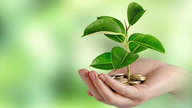 Green Economy