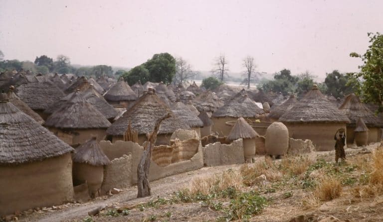 Government urged to implement rural development policies