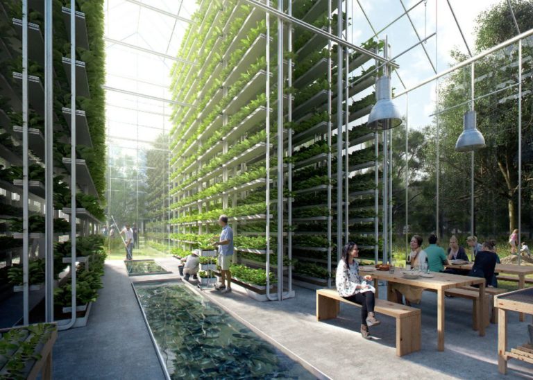 Emirates Airline, US firm to build $40m vertical farm