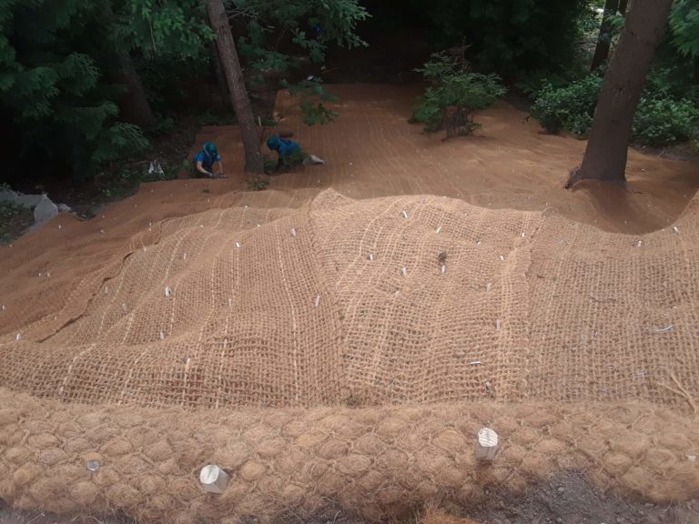 The remarkable Edmonds erosion control installation experience