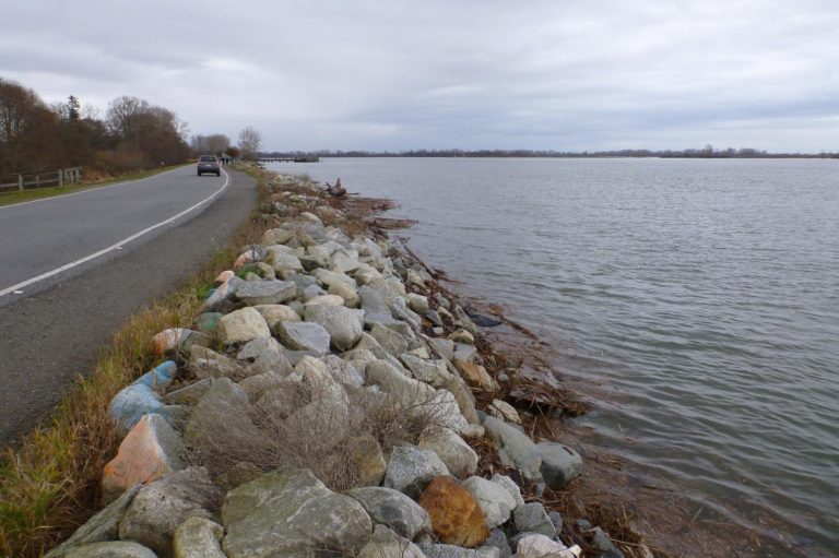 Government begins construction of dykes to prevent flooding