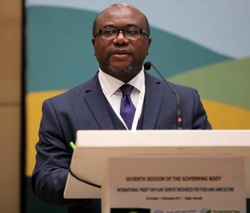 Kent Nnadozie