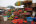 Market