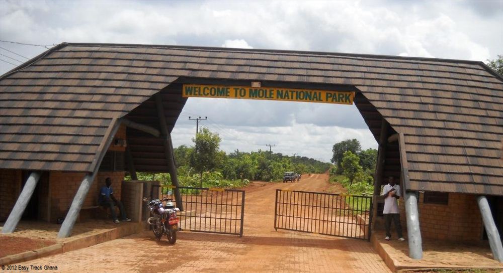 Mole National Park