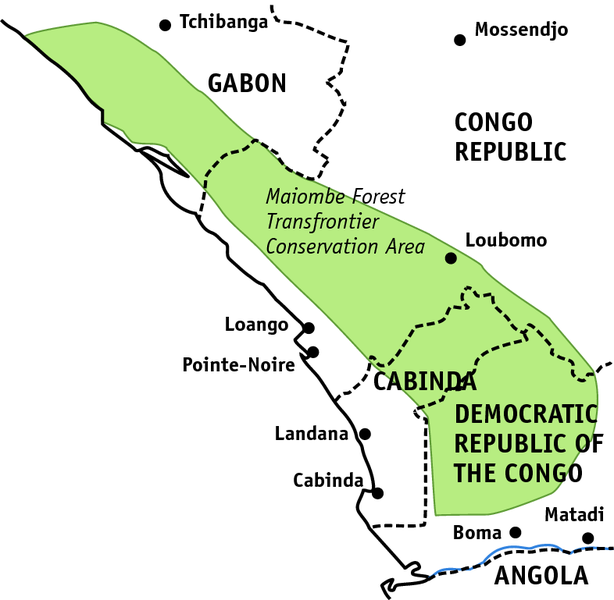 Mayombe forest