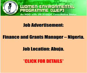 JOB ADVERTISEMENT: Finance and Grants Manager – Nigeria