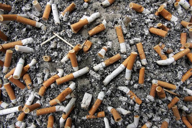 Cigarette butts