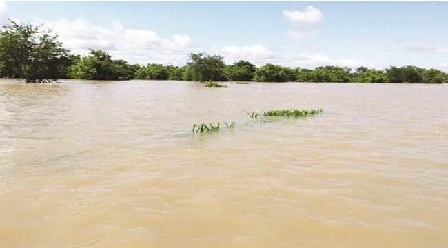 Flooded farm