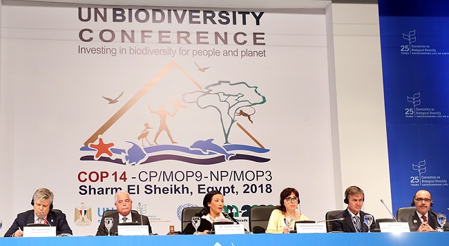 CBD COP14