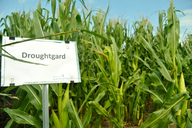 DroughtGard
