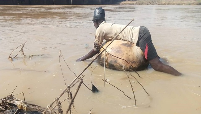 Fisherman