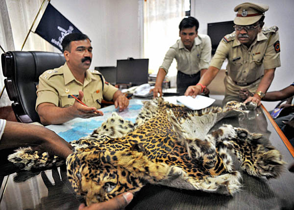 Tiger part