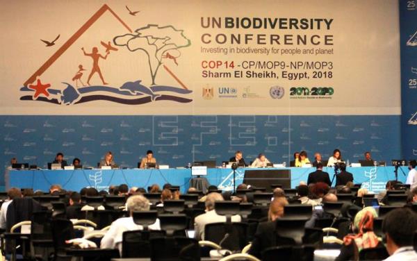 UN Biodiversity Conference