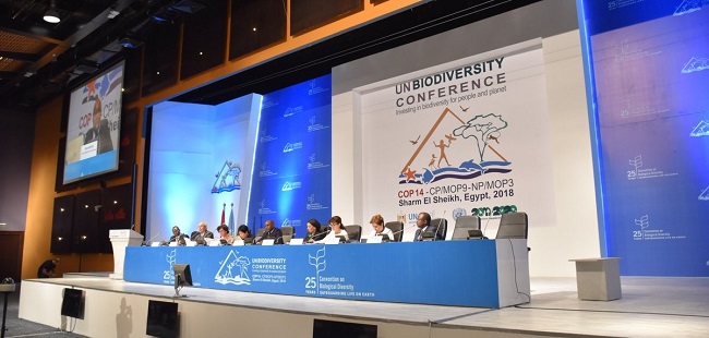 2018 UN Biodiversity Conference