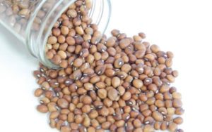 Cowpea