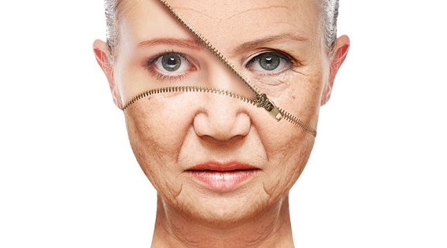 Skin regeneration