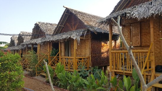 Bamboo house