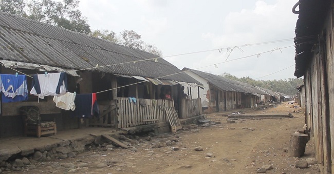 Deserted plantation camp