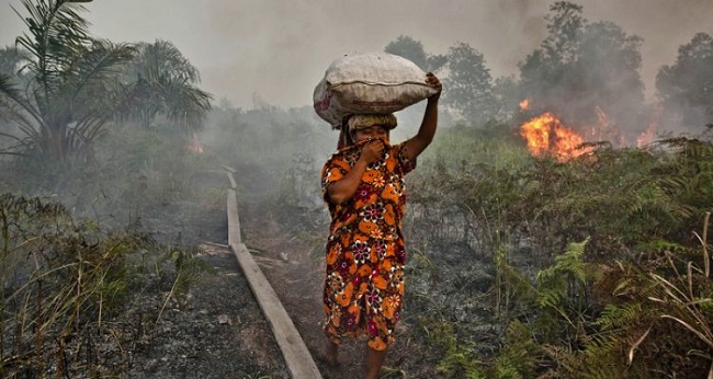 Indonesian forest fire