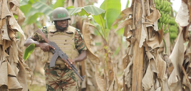 Soldier guarding the plantation