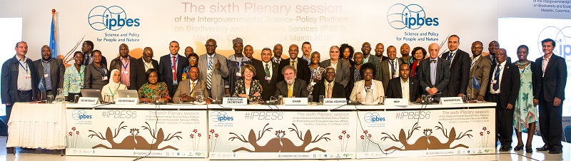 Africa Delegation IPBES-6