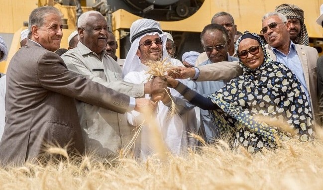 Sudanese farmers