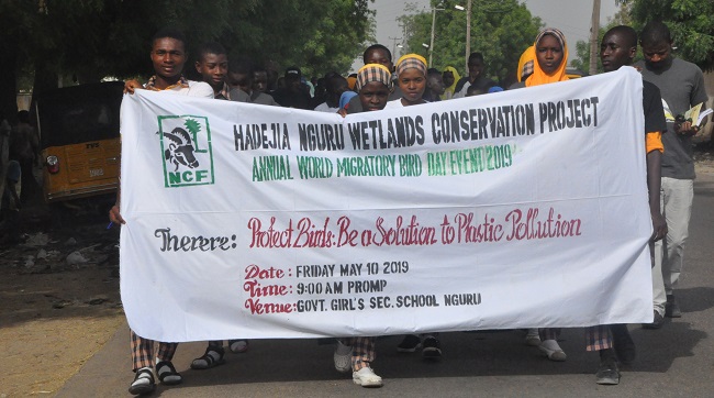 Nguru vultures conservation