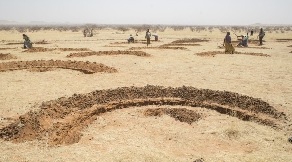 FAO land restoration