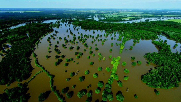 Flood plain