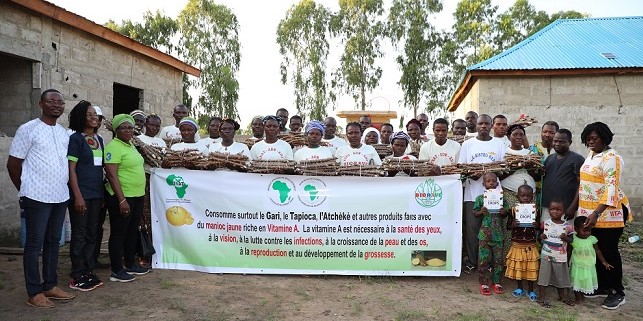 Yellow cassava sensitisation