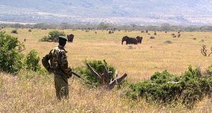 Kenya wildlife sanctuary