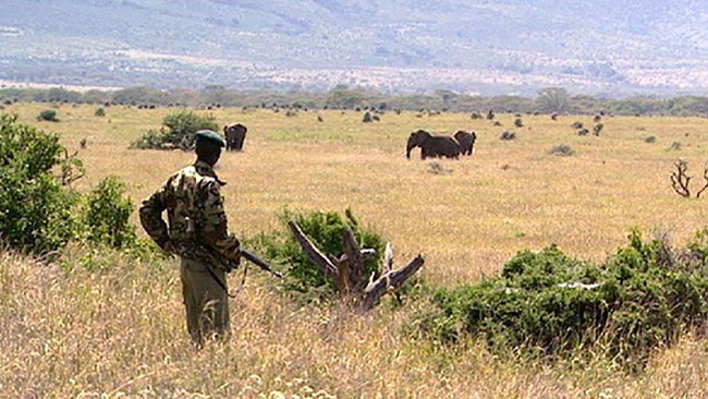 Kenya wildlife sanctuary