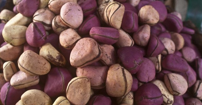 Kola Nut