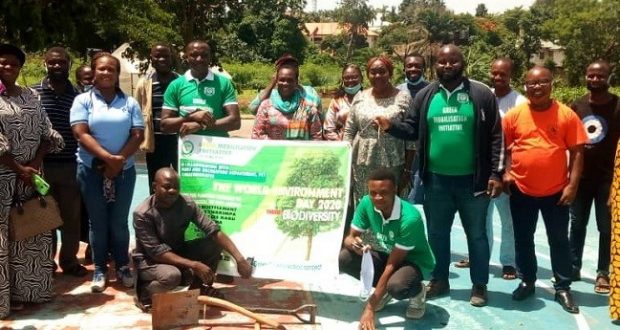 School tree planting
