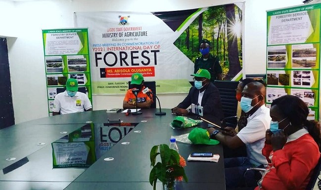 Lagos Forestry