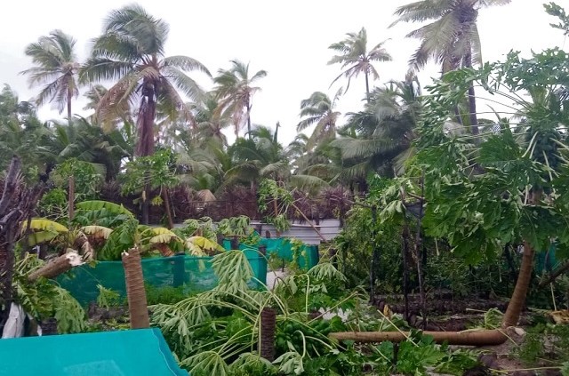 Tropical cyclone Jobo