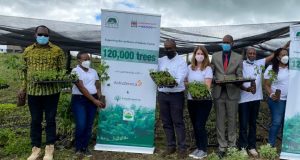 AstraZeneca reforestation initiative