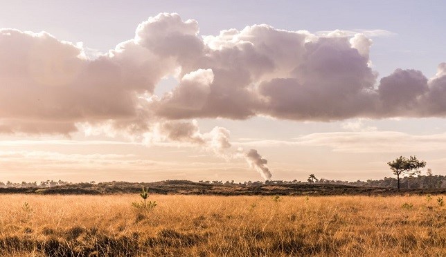 UK air pollution