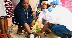 NCF schools tree planting