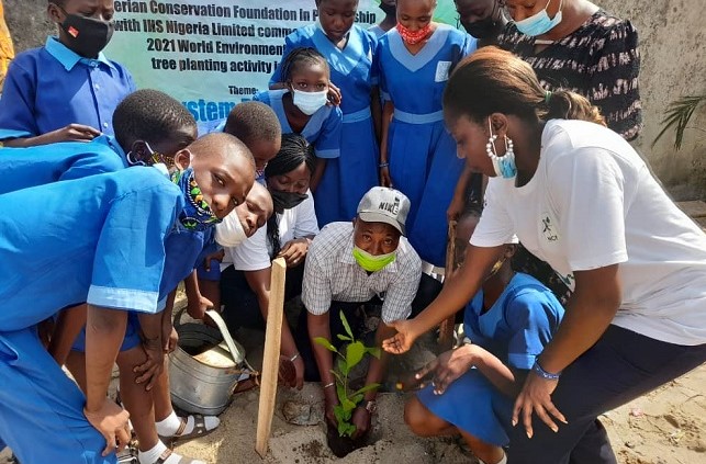 NCF schools tree planting