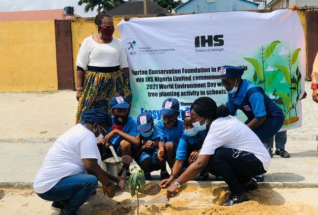 NCF schools tree planting