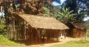 Typical traditional Baka house